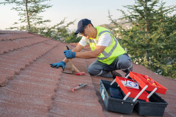Best Roof Repair Services  in Kingsbury, NV