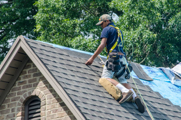 Quick and Trustworthy Emergency Roof Repair Services in Kingsbury, NV